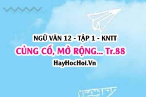 Soạn bài Củng cố, mở rộng trang 88 Ngữ văn lớp 12 tập 1 Kết nối tri thức